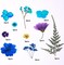 30-Piece Dried Pressed Flowers for Crafts – Ocean Blue Real Flowers & Leaves for Resin, Jewelry, Candle, Soap, Bookmarks, Phone Cases & DIY Projects (Ocean Blue)